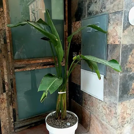 Perlage チビタベッキア