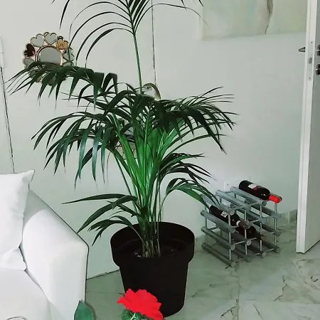 Perlage チビタベッキア